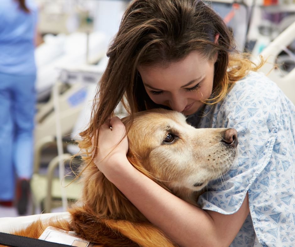 You are currently viewing Implementing a Pet Visitor Program in Oncological Settings: The Experience at Fox Chase Cancer Center